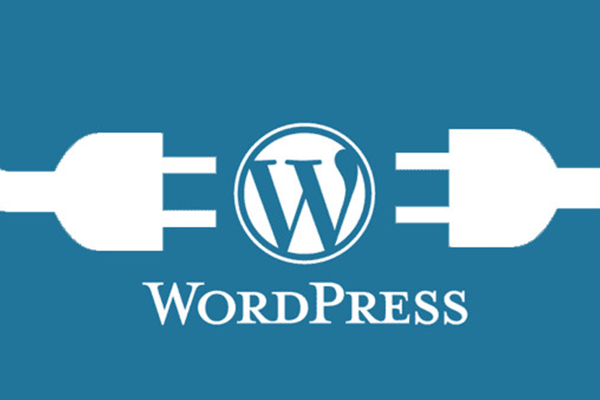 ADVANCED WORDPRESS THEME & PLUGIN DEVELOPMENT COURSE – 3k Software ...